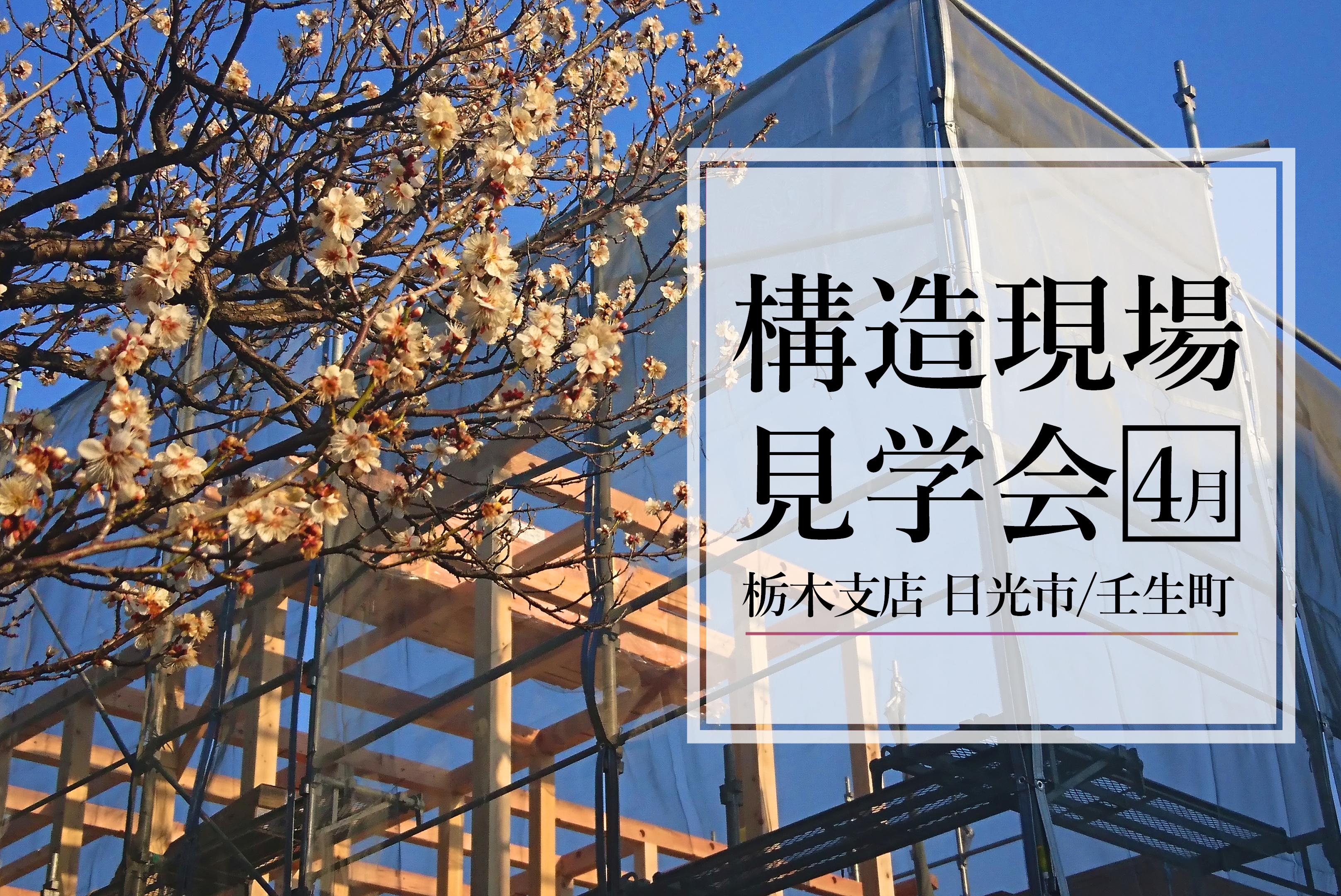 もりぞうの家ができるまで 4月栃木構造現場見学 イベント ひのきの家を作るなら もりぞう 木曾ひのきの注文住宅 信越 北陸 関東 東海